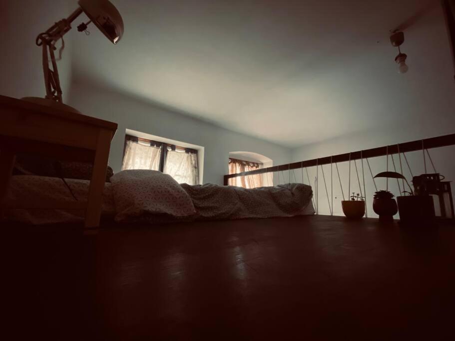 Playground Daire Kaloşvar Dış mekan fotoğraf
